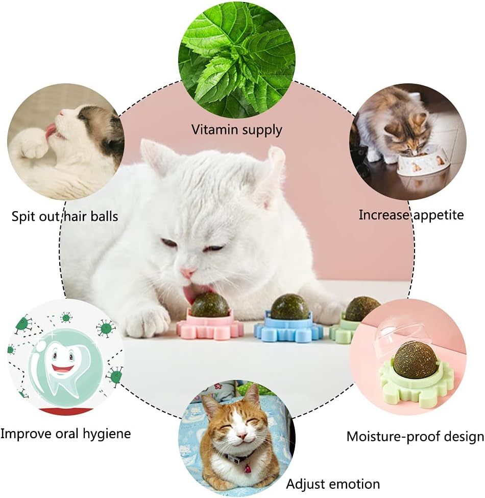 Catnip Wall Ball Piece Cat Toys Edible Cat Licking Toy Cat Chew Toy Teeth Cleaning Cat Bite Toy  Rotatable Indoor Cat Toy Cat Wall Decoration